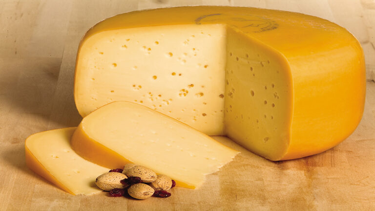 پنیر گودا